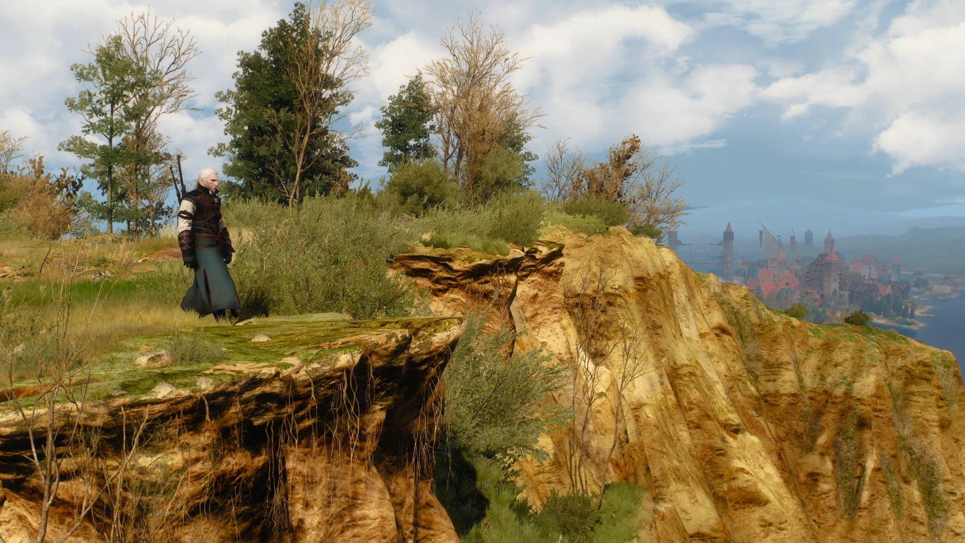 thewitcher3_cliff_1.jpg
