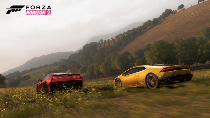 forza_horizon_2_grass