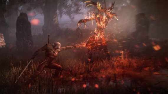 The_Witcher_3_Wild_Hunt_Geralt_uses_Igni_to_torch_leshen-pcgh