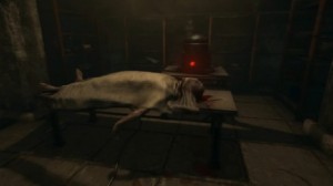 soma-11