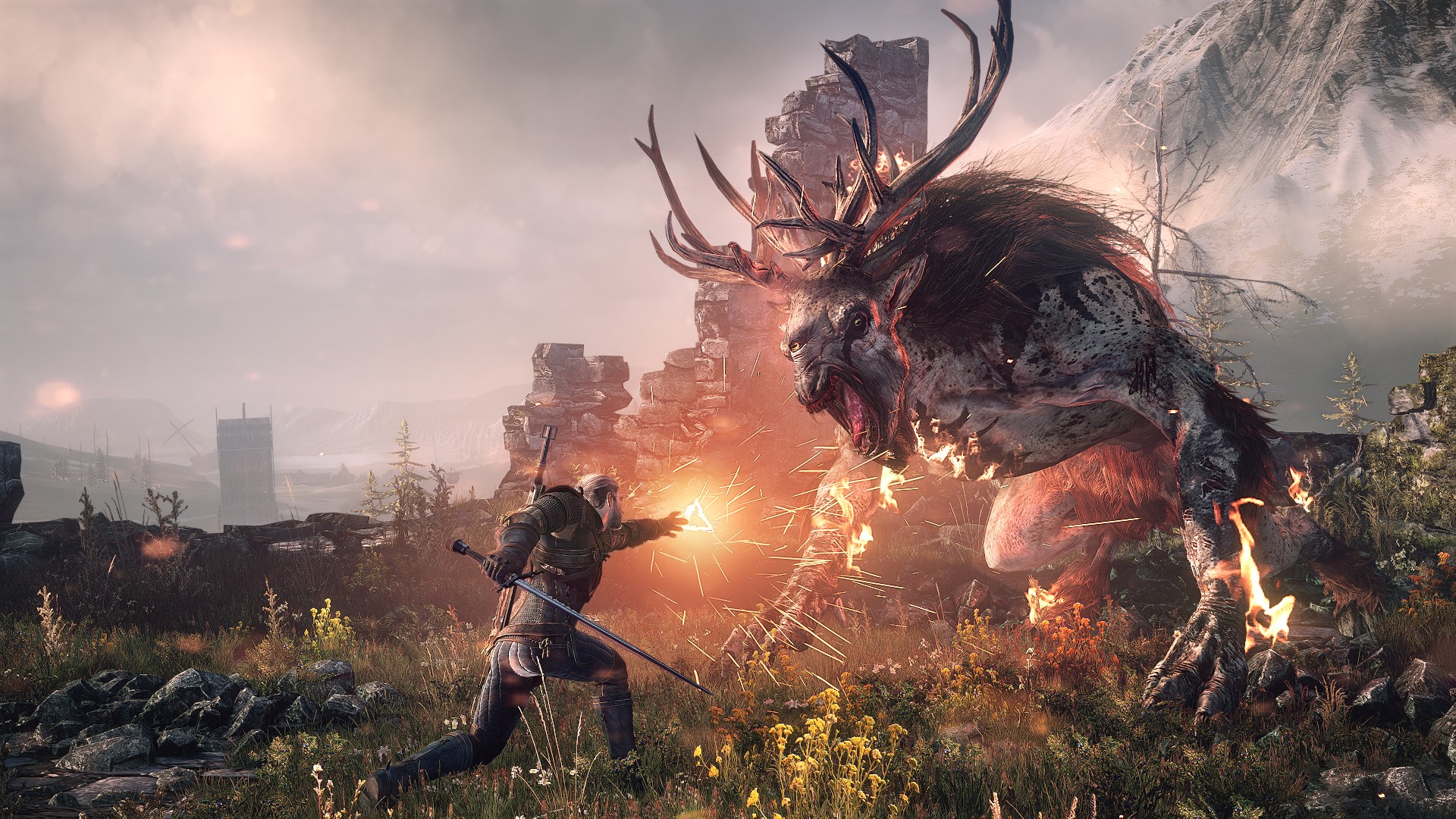 witcher3