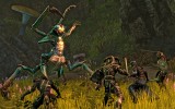 The-Elder-Scrolls-Online-bug-attack