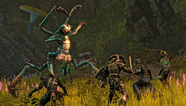 The-Elder-Scrolls-Online-bug-attack