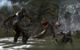 the elder scrolls online_fight_pool