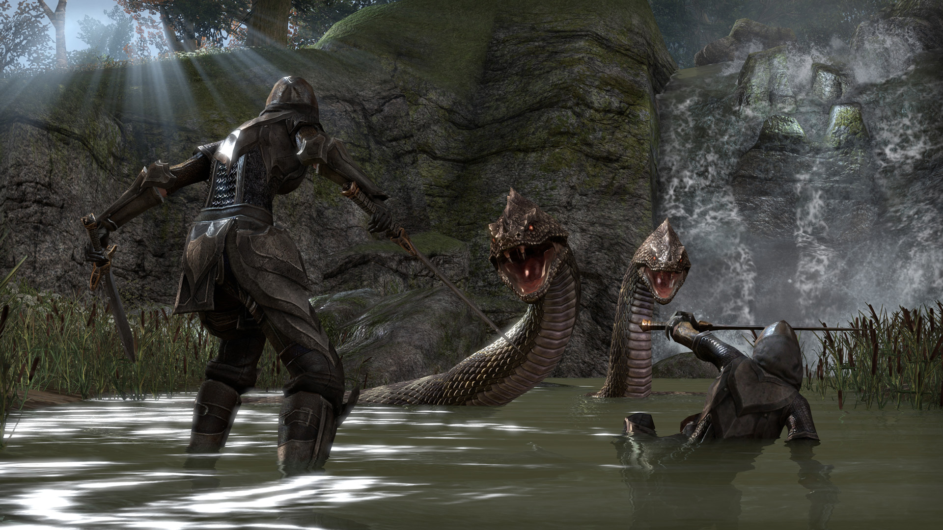 the elder scrolls online_fight_pool