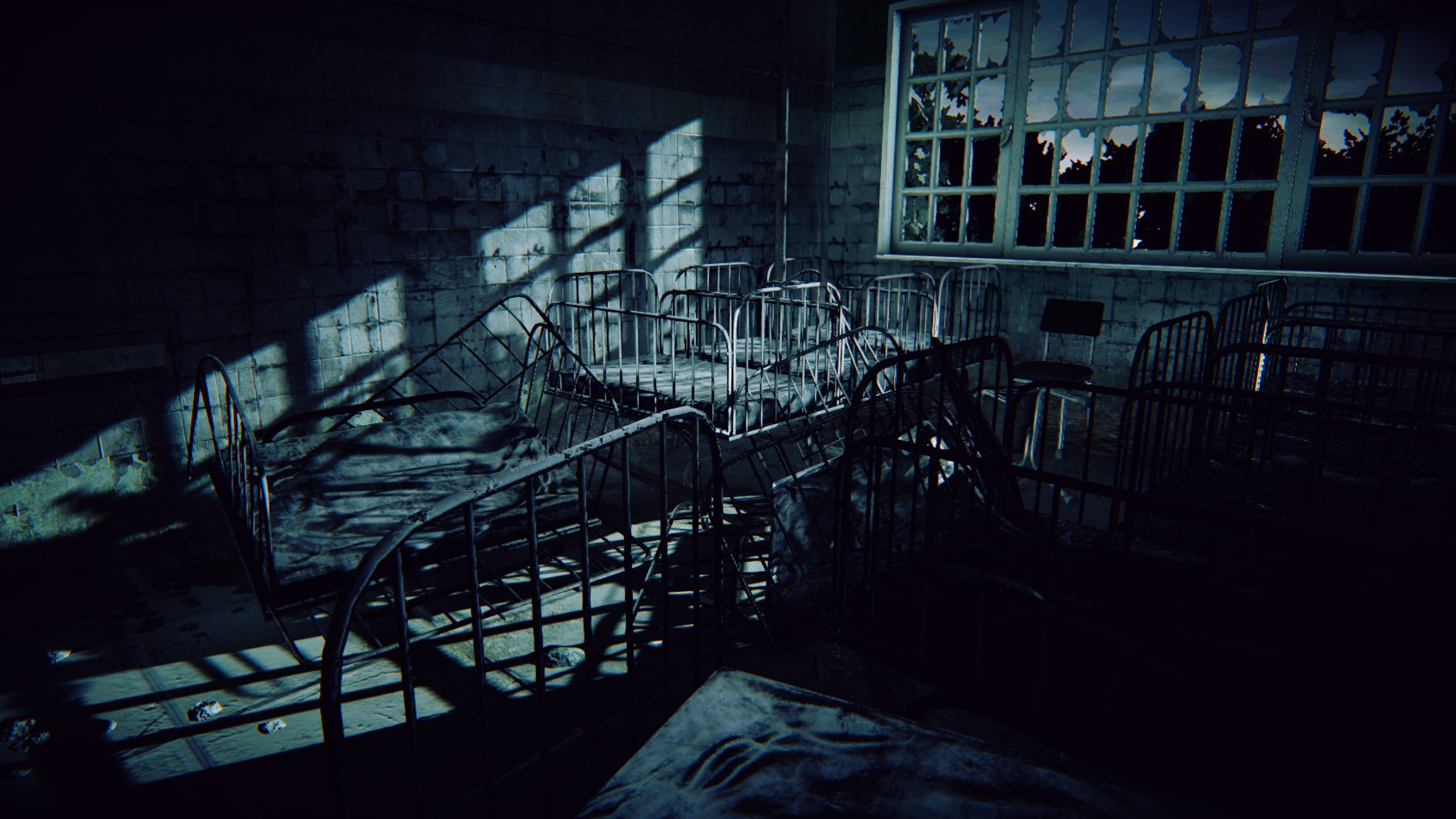 DAYLIGHT