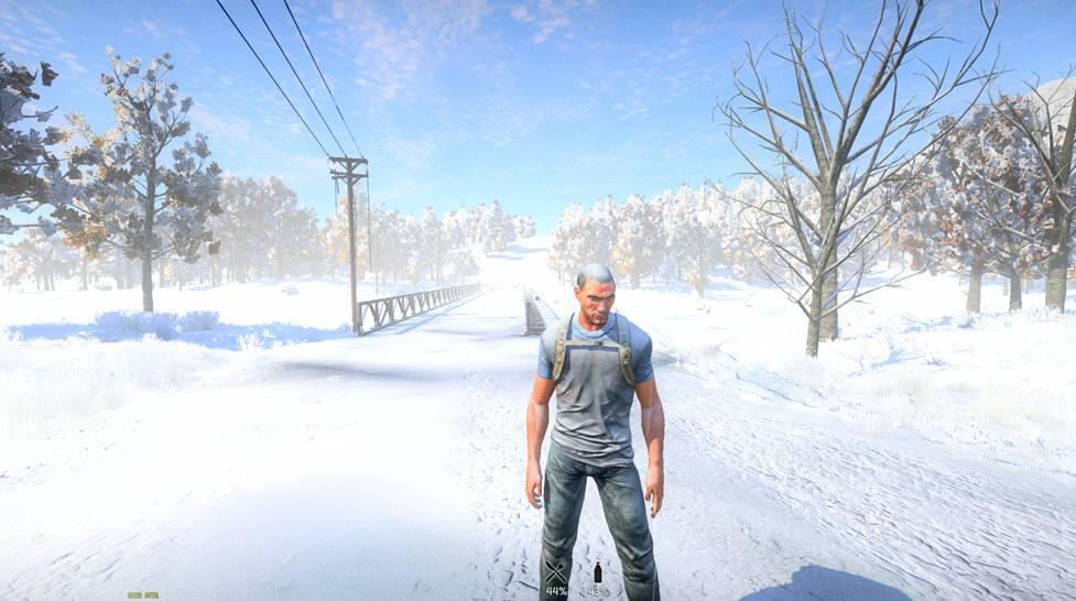 h1z1_snow