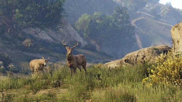 GTAV