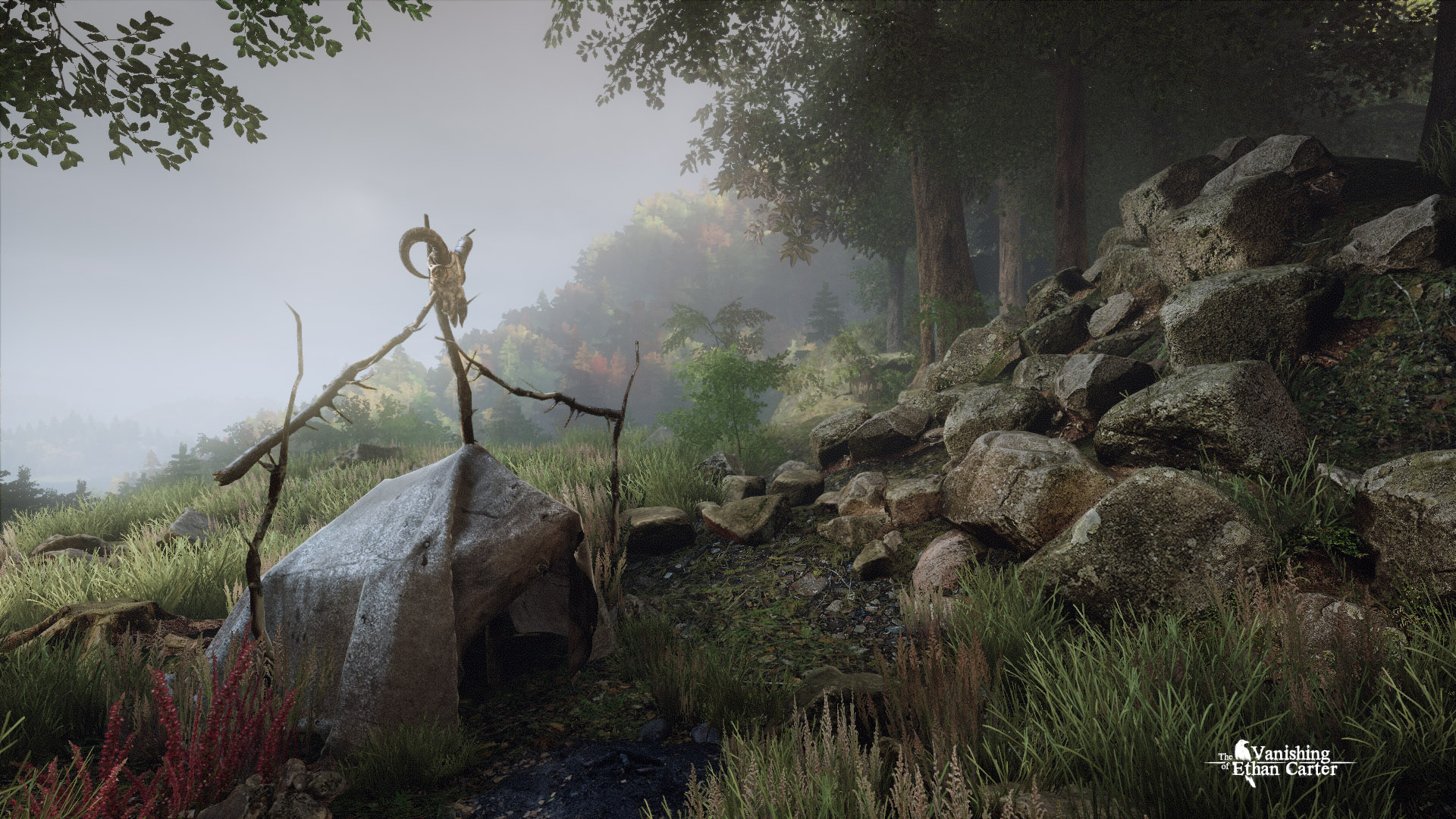 the_vanishing_ethan_carter_forest