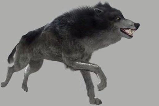 the-witcher-3-next-gen-wolf-fur