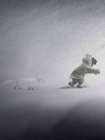 never-alone.cover-pc copy