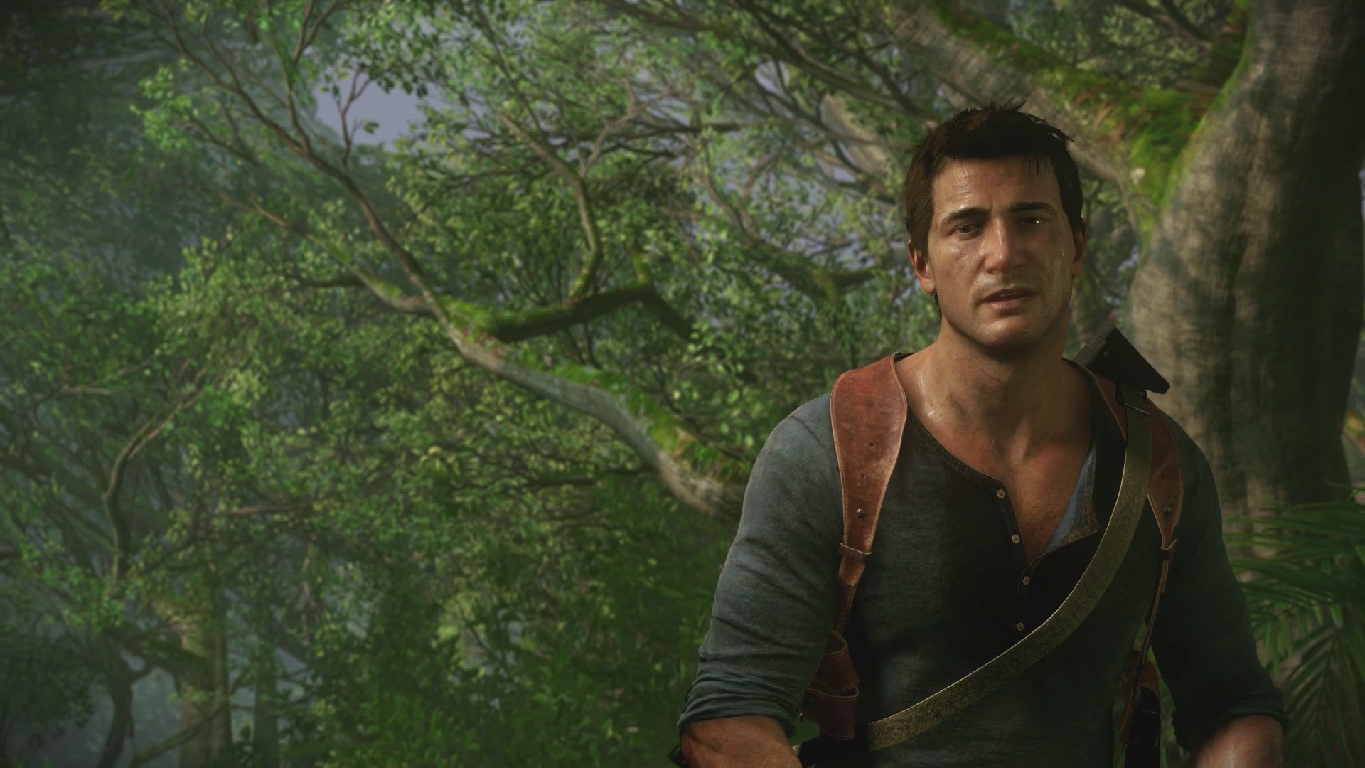 Uncharted4-Drake-Forest
