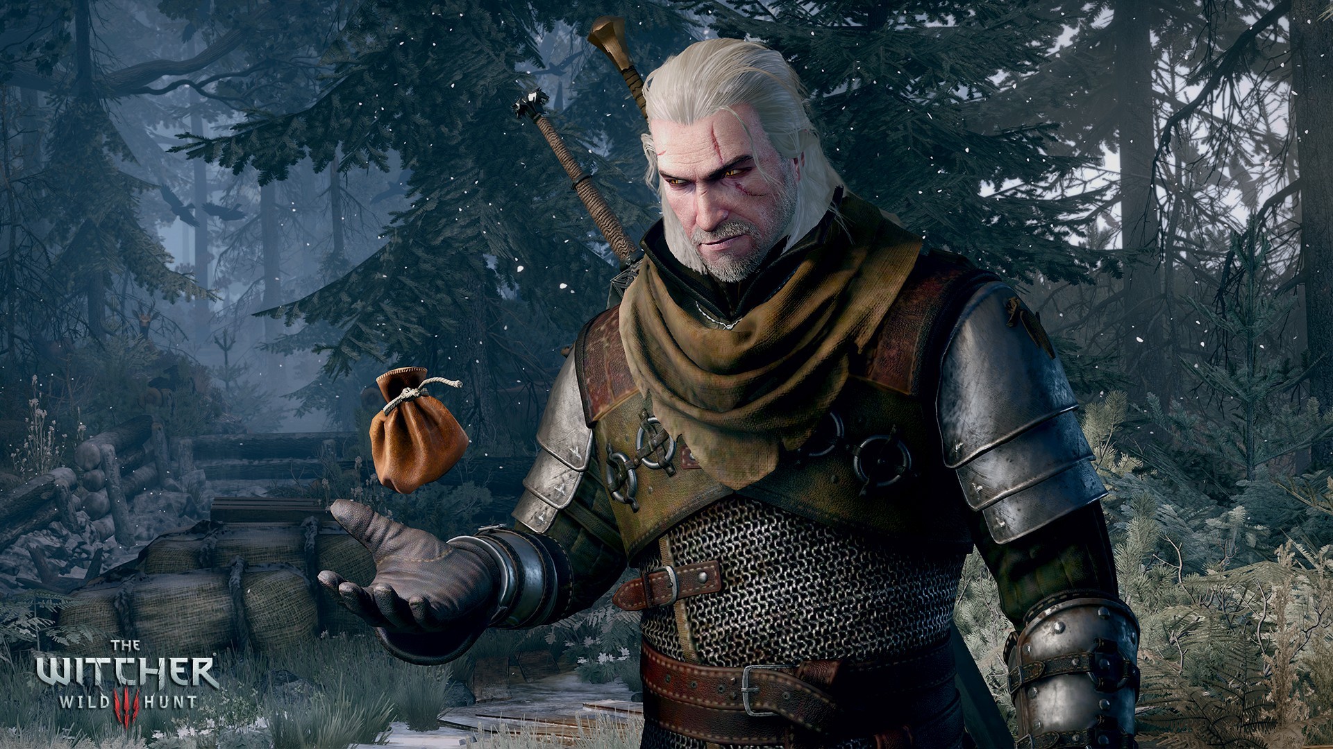 Geralt-Sack-Coin